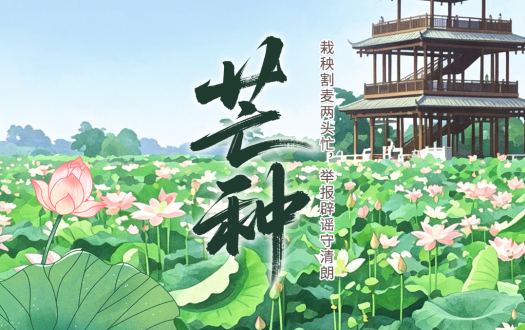 二十四节气·鉴谣时 | 芒种：栽秧割麦两头忙，举报辟谣守清朗